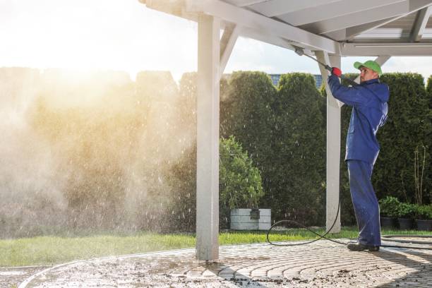 Best House Exterior Washing  in North Wantagh, NY
