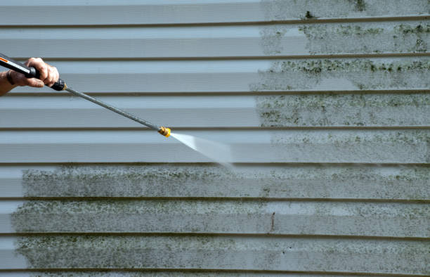 Best Driveway Pressure Washing  in North Wantagh, NY